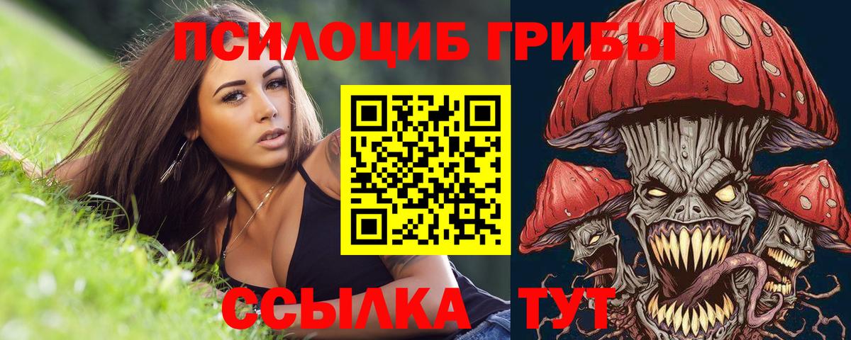 Галлюциногенные грибы MAGIC MUSHROOMS  Вход с VPN  Советская Гавань 