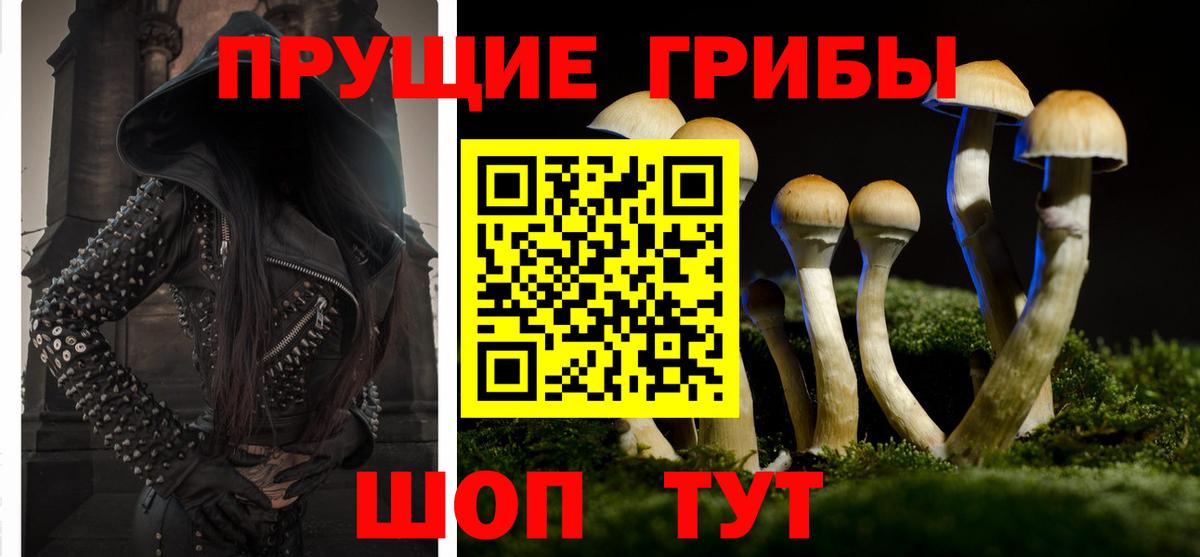 Псилоцибиновые грибы Cubensis Советская Гавань